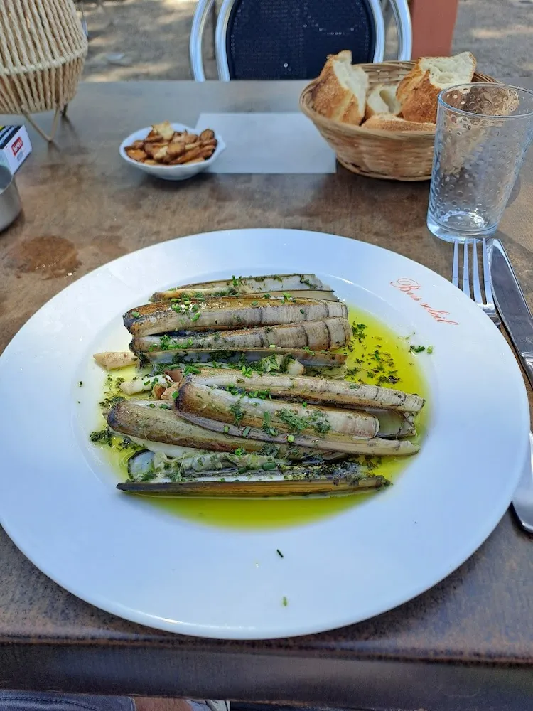 Couteaux En Persillade